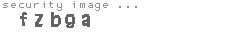 security image