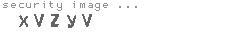 security image
